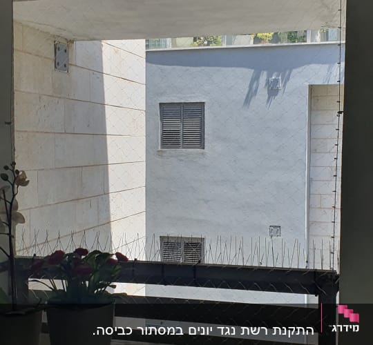 רשת נגד יונים ומחטי מתכת על מעקה